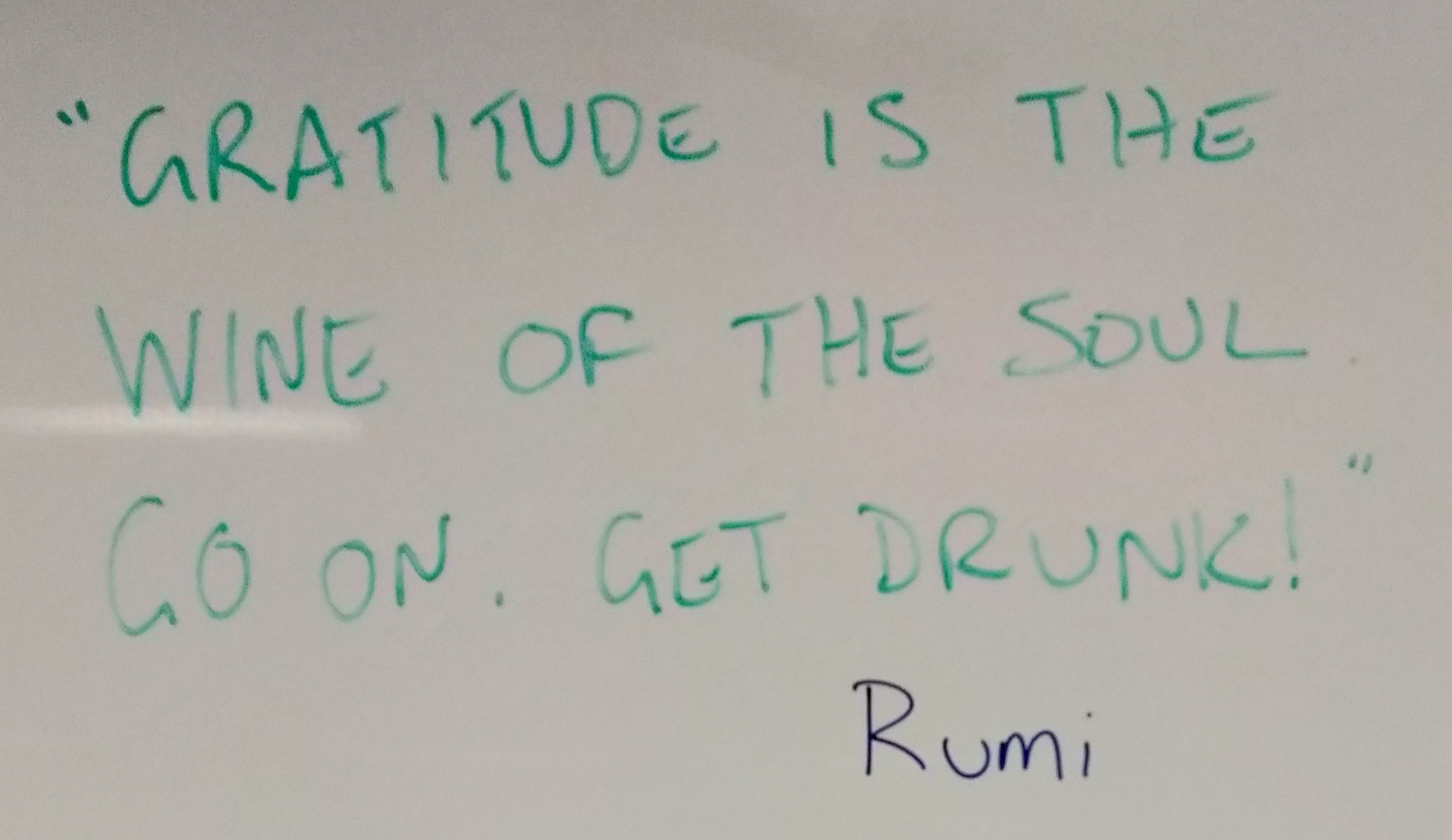 “Gratitude is the wine of the soul. Go on. Get drunk!” Rumi