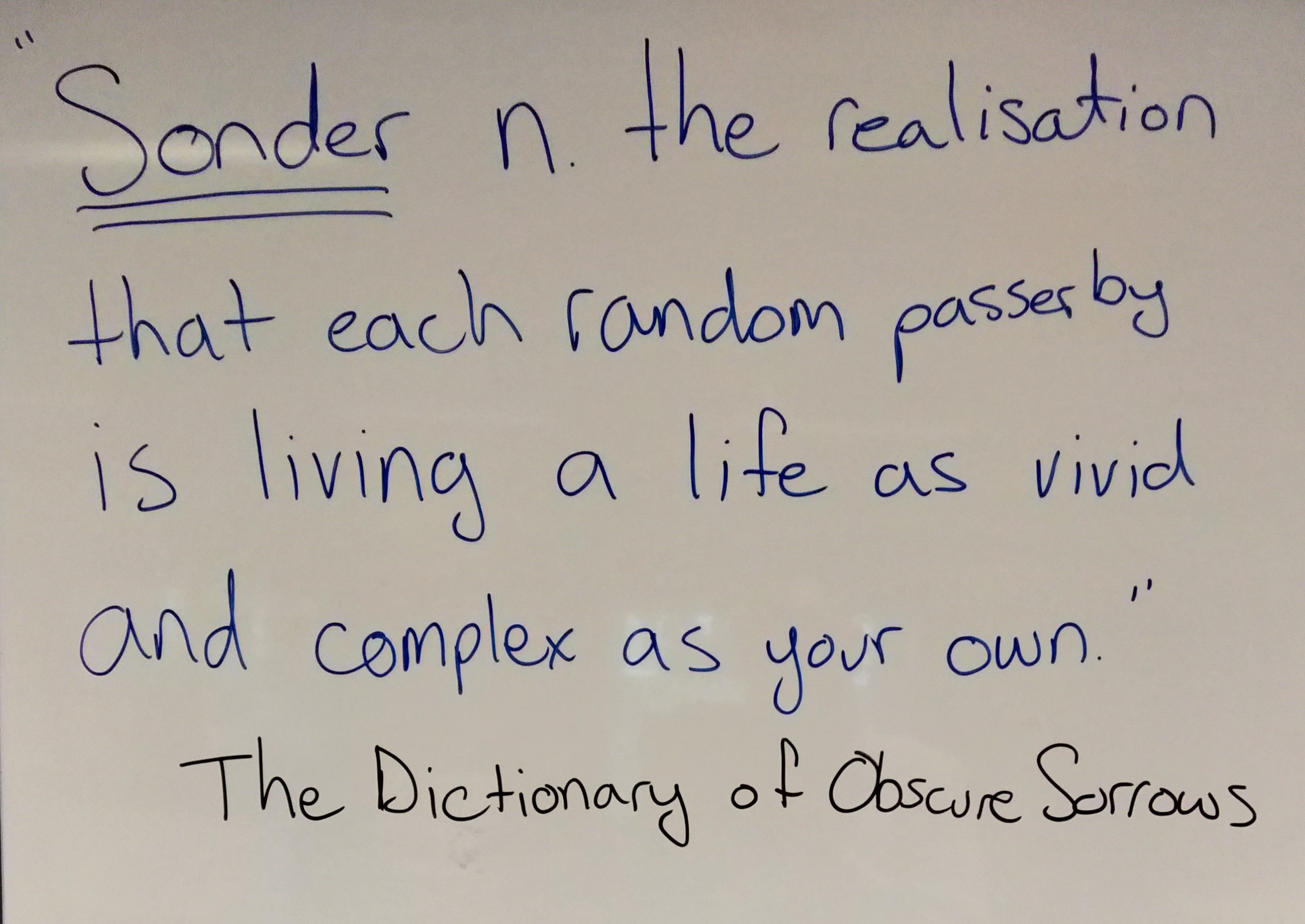 “Sonder n. the realization that each random passerby is living a life as vivid and complex as your own” The Dictionary of Obscure Sorrows